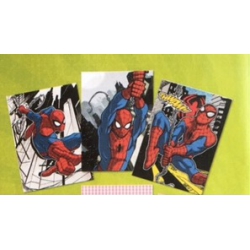 Maxi Quaderno 1Rigo Spider-Man