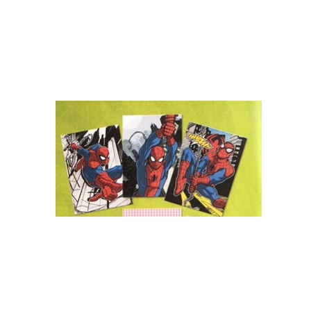 Maxi Quaderno 5MM Spider-Man