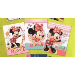 Maxi Quaderno 5 MM  Minnie