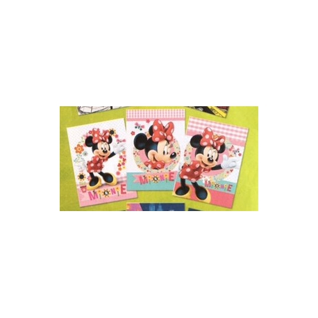 Maxi Quaderno 10 MM  Minnie