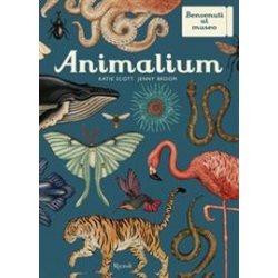 Animalium. Il grande museo degli animali di Scott Katie  Broom Jenny