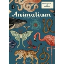 Animalium. Il grande museo degli animali di Scott Katie  Broom Jenny