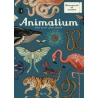 Animalium. Il grande museo degli animali di Scott Katie  Broom Jenny